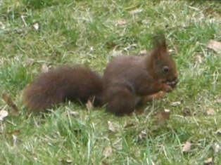 f0169885_2324588.jpg