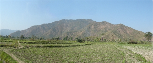 a0120187_133718100.jpg