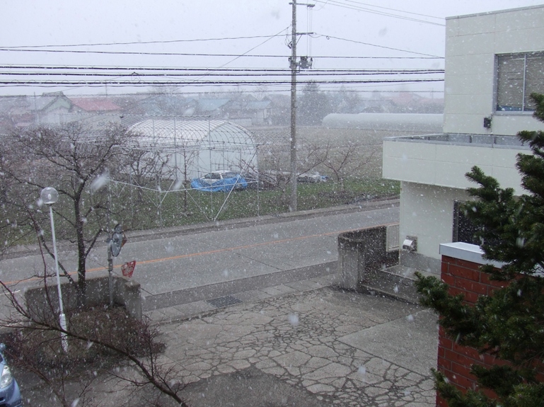 f0174989_1016527.jpg
