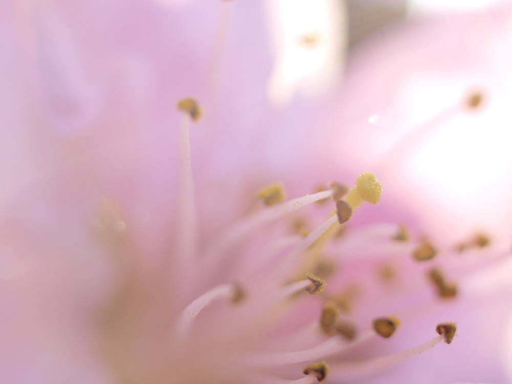 a0143491_22115821.jpg