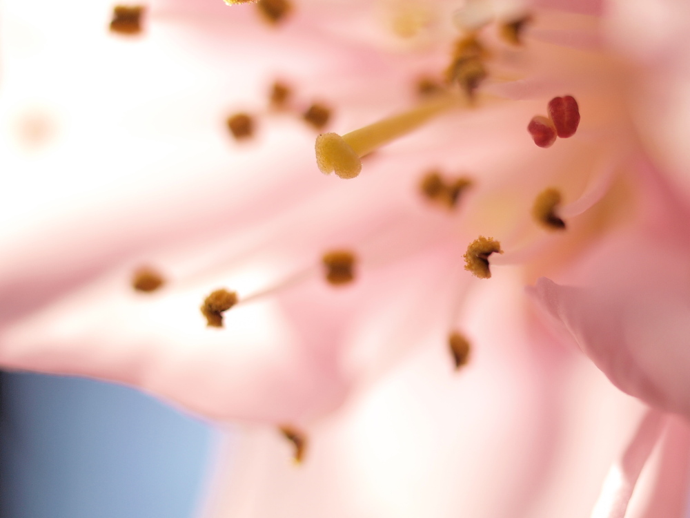 a0143491_2213271.jpg