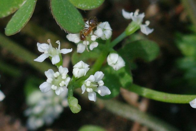 e0070891_20121638.jpg