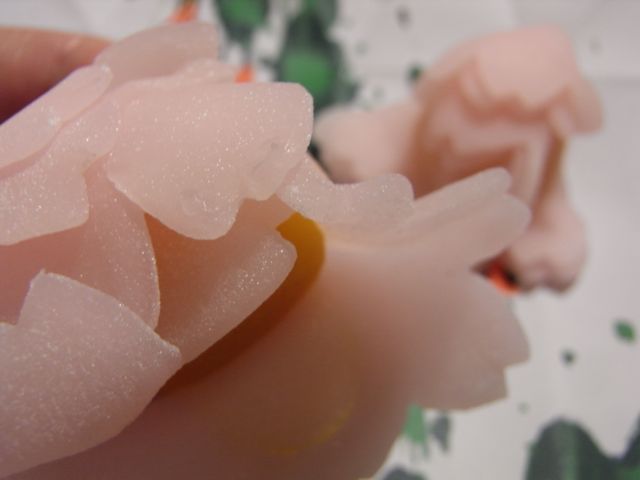a0125694_23383098.jpg