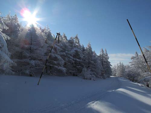 雪景色の池ノ平湿原_e0120896_11101720.jpg