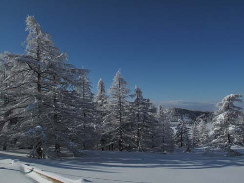 雪景色の池ノ平湿原_e0120896_11113556.jpg