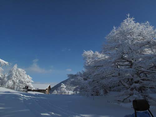 雪景色の池ノ平湿原_e0120896_11132294.jpg