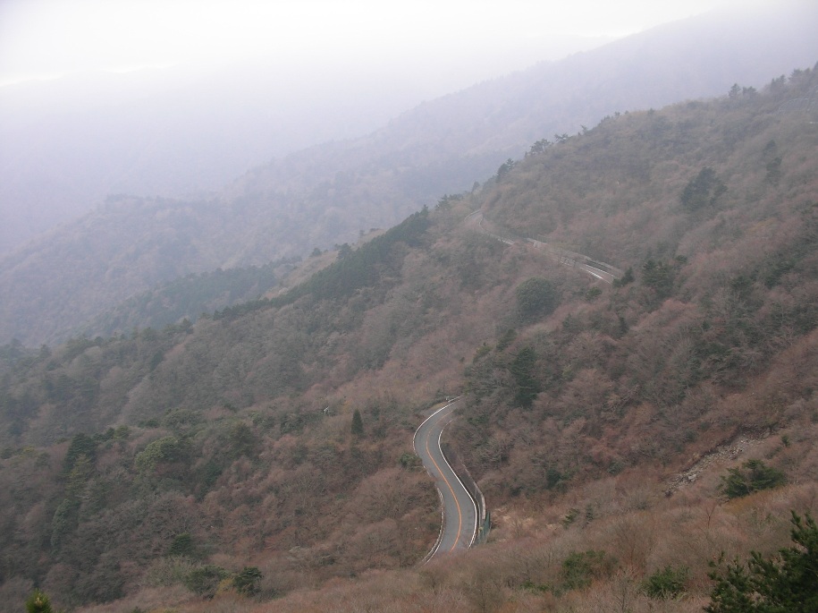 b0092300_045991.jpg