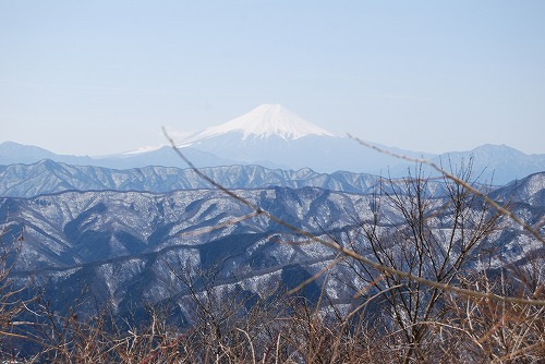 本当に 最後の冷え込み？_c0124100_20292137.jpg