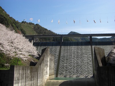 c0125501_2126160.jpg