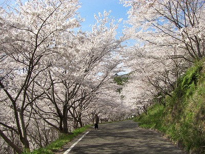 c0125501_2132679.jpg