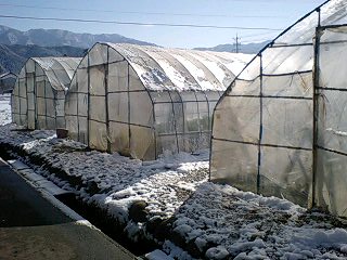 c0163102_22451252.jpg