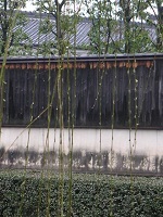 a0056406_10364215.jpg