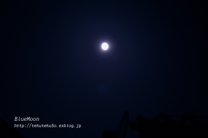 BlueMoon_f0112806_2202397.jpg