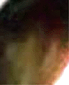e0103408_1265967.gif