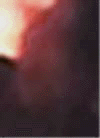 e0103408_1281751.gif