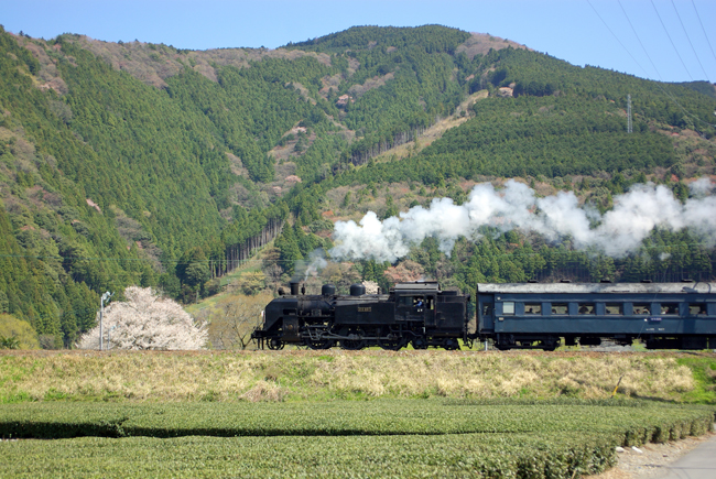d0072720_18145234.jpg