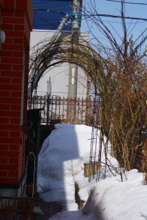 f0170524_1311505.jpg