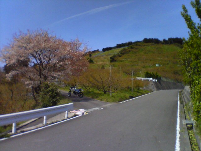 b0134233_13102926.jpg