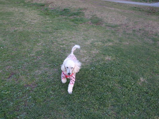e0191034_03927.jpg