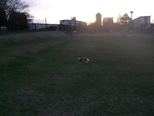 e0191034_05021.jpg