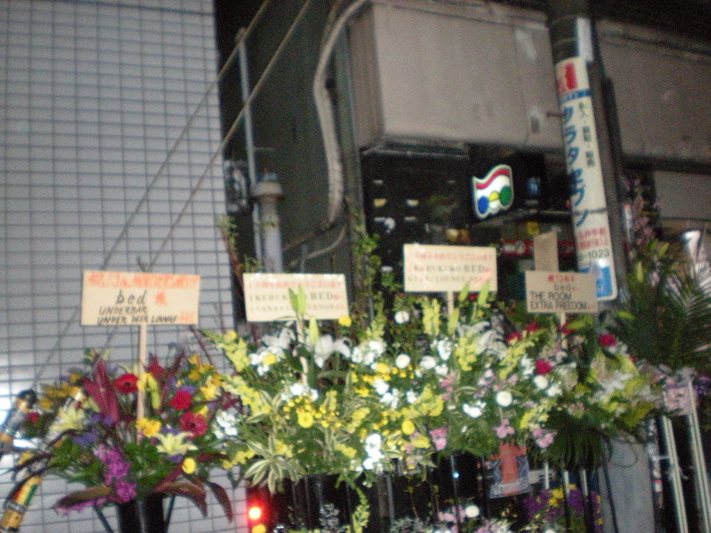 2010 3/25 BED 13TH ANNIVERSARY SPECIAL _a0089739_371854.jpg