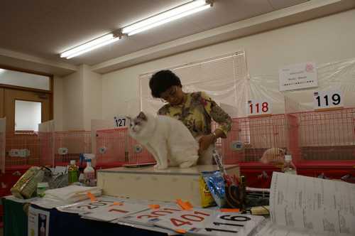 f0168339_23981.jpg