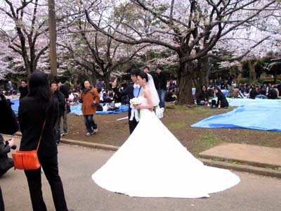 日々雑文雑多日記／寒さシラズ！花見の宴に酔う。_b0019140_16535260.jpg