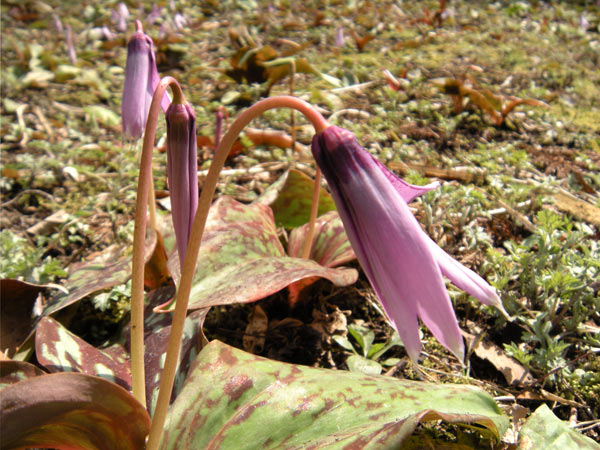 c0047341_7221549.jpg