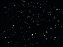 e0005548_21345912.gif