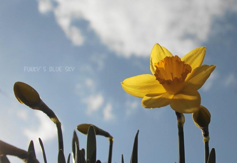 c0145250_17155012.jpg