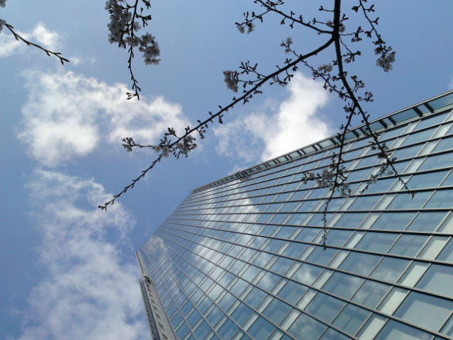 桜の花が風に揺れてるこの街で _f0211150_16453164.jpg