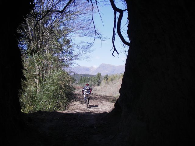 c0218451_04535.jpg
