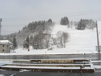 雪が5㎝位降りました_a0084753_8214021.jpg