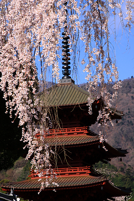 久遠寺_c0225255_2074529.jpg