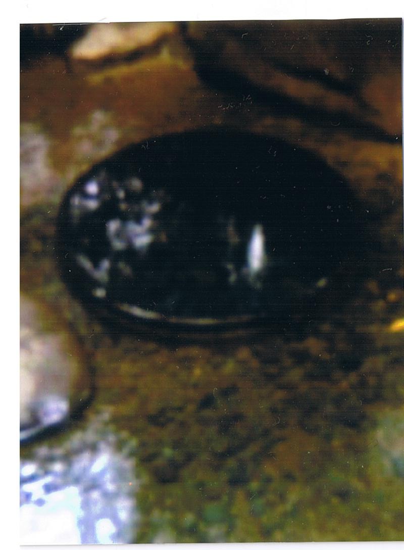 清正の井に観音様?_d0082655_144239100.jpg
