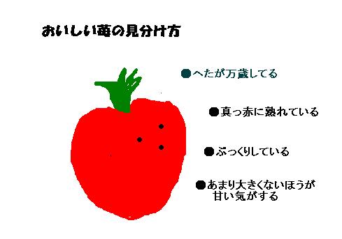 棚式イチゴ園は楽だね_e0074955_4183680.jpg