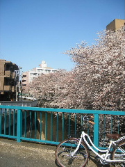f0043559_2048621.jpg