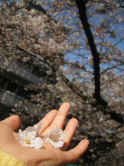 f0043559_21010100.jpg