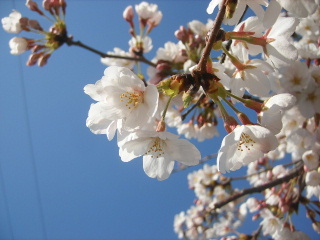 f0043559_2134465.jpg