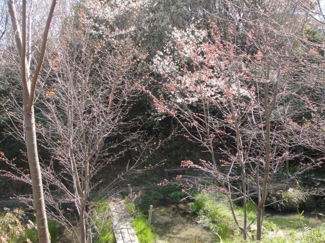 c0108460_19484832.jpg