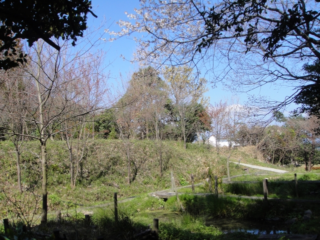 c0108460_1948714.jpg