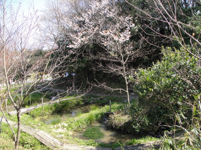 c0108460_19491036.jpg