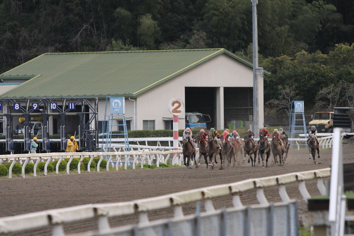 2010年3月22日（月） 高知競馬 8R 高知ケーブルTV協賛 ピカラKCB特別 A3 その2_a0077663_18154098.jpg