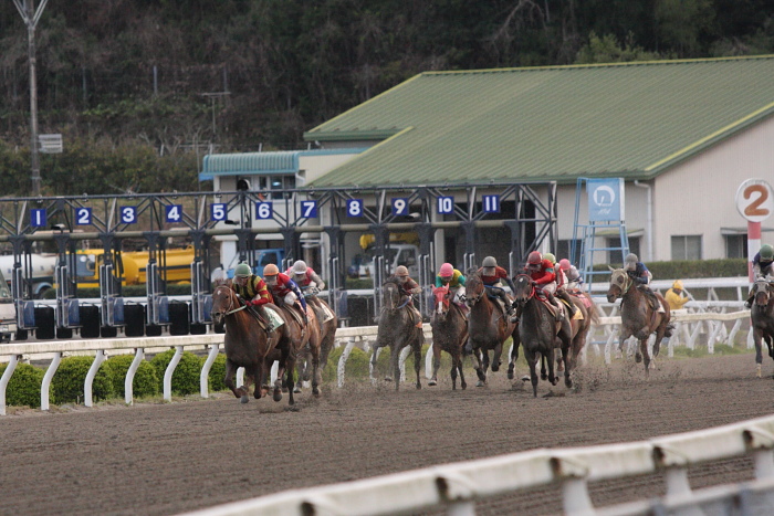 2010年3月22日（月） 高知競馬 8R 高知ケーブルTV協賛 ピカラKCB特別 A3 その2_a0077663_18155026.jpg