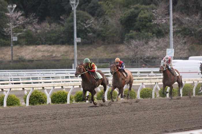 2010年3月22日（月） 高知競馬 8R 高知ケーブルTV協賛 ピカラKCB特別 A3 その2_a0077663_18155849.jpg