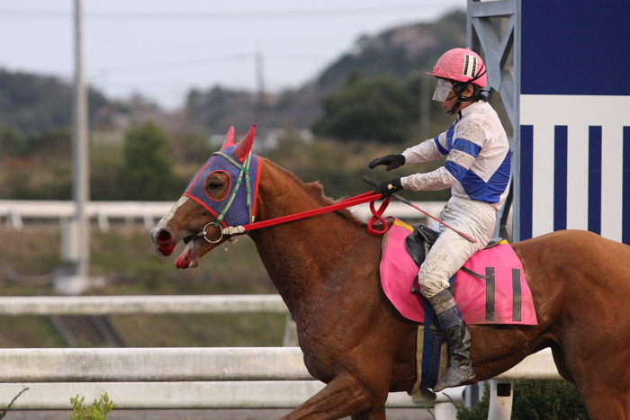 2010年3月22日（月） 高知競馬 8R 高知ケーブルTV協賛 ピカラKCB特別 A3 その2_a0077663_18162767.jpg