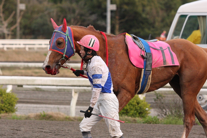 2010年3月22日（月） 高知競馬 8R 高知ケーブルTV協賛 ピカラKCB特別 A3 その2_a0077663_18164628.jpg