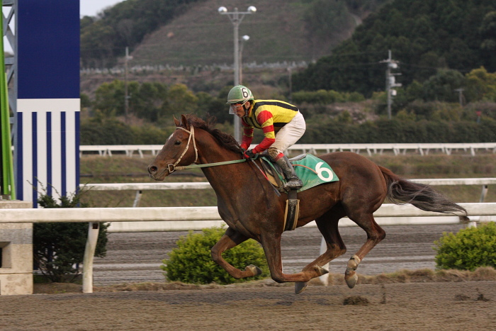 2010年3月22日（月） 高知競馬 8R 高知ケーブルTV協賛 ピカラKCB特別 A3 その2_a0077663_181672.jpg