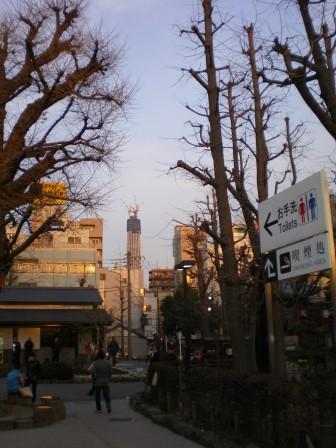 浅草で、西村春海氏主催の花見の打ち合わせを。_c0198869_2231957.jpg