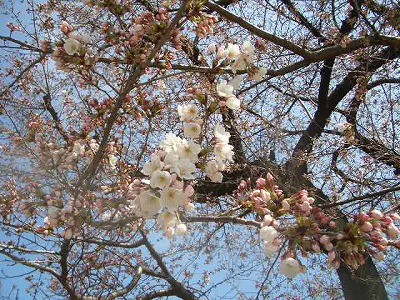炊き出しボランティア日記Vol.20_f0021370_040537.jpg